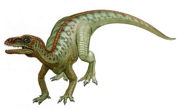 Eoraptor 