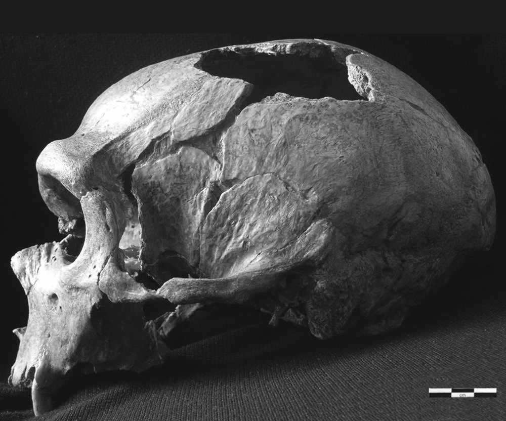 Skull of Chapelle aux Saints