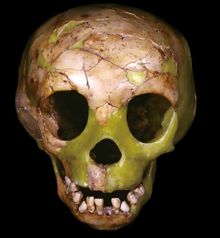 Dederiyeh 2 skull