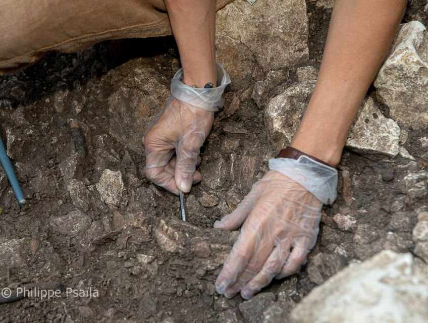 Neanderthal nicknamed Thorin