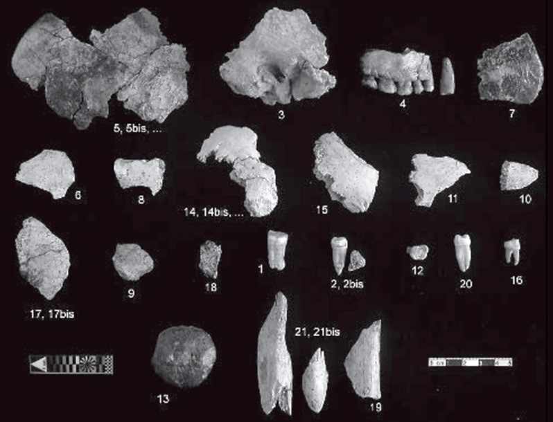 Human remains of Marillac