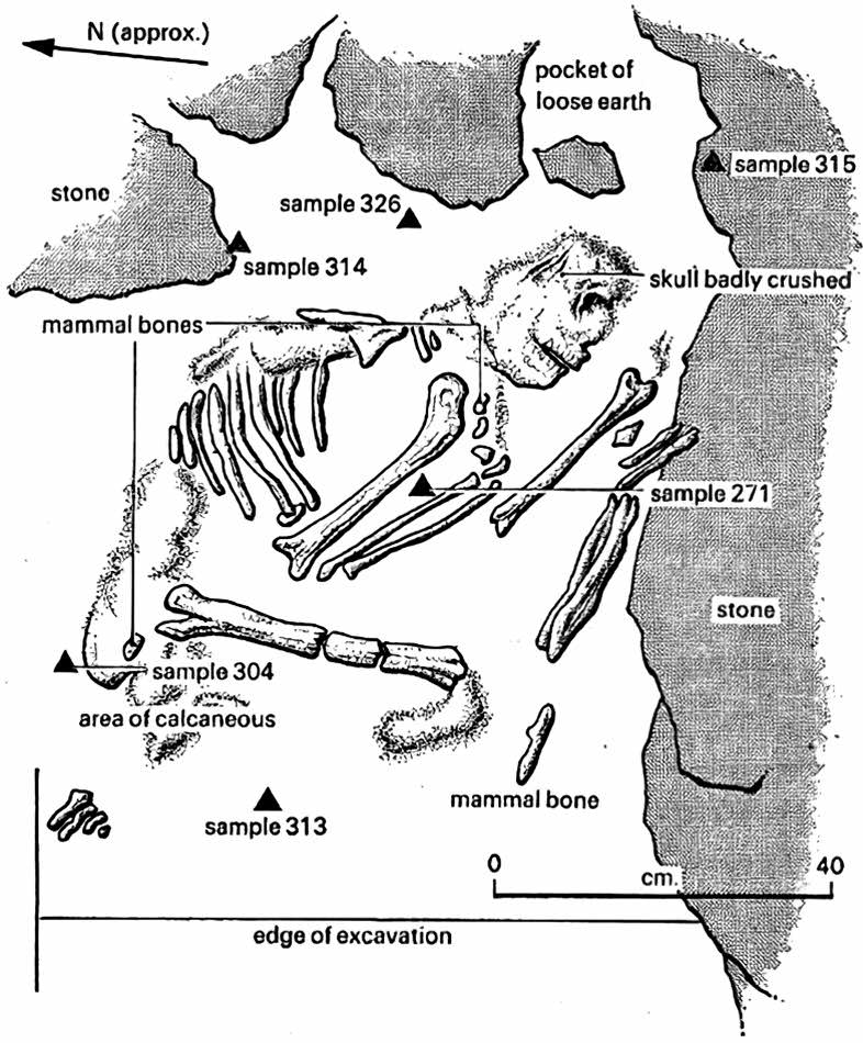 Shanidar 4 burial