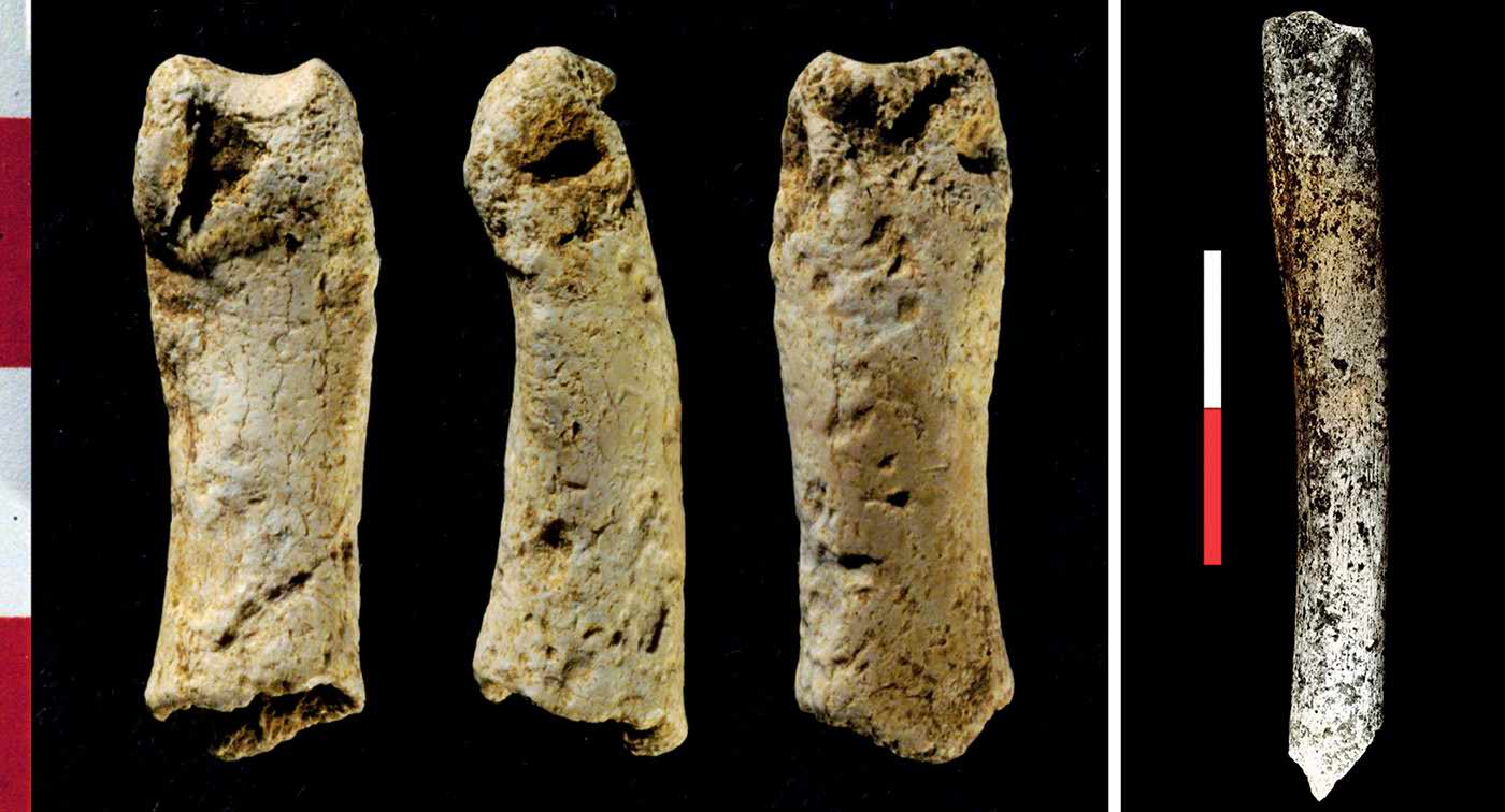 Phalanx and femoral diaphysis from Castaigne