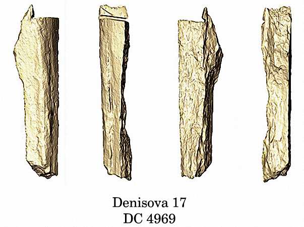 Bone fragment Denisova-17