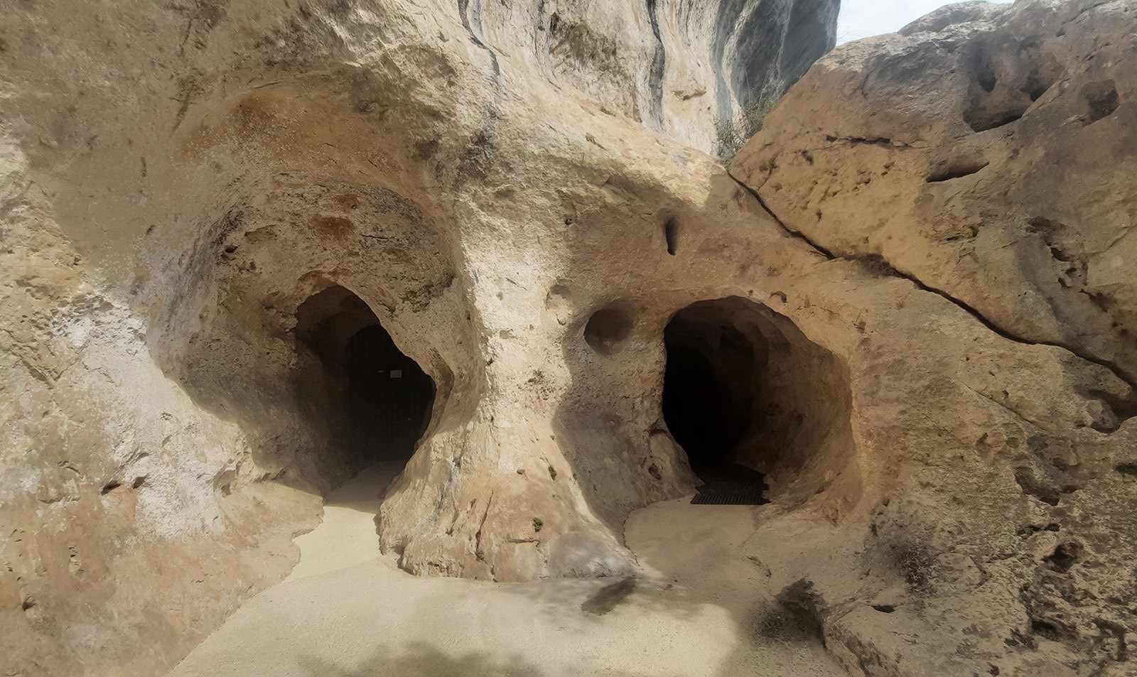 Font-de-Gaume Cave