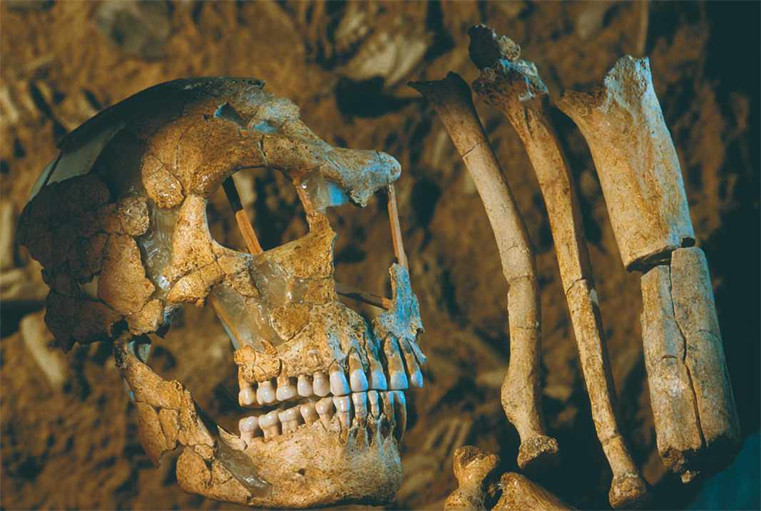 Neanderthal fossils from Saint-Cesar