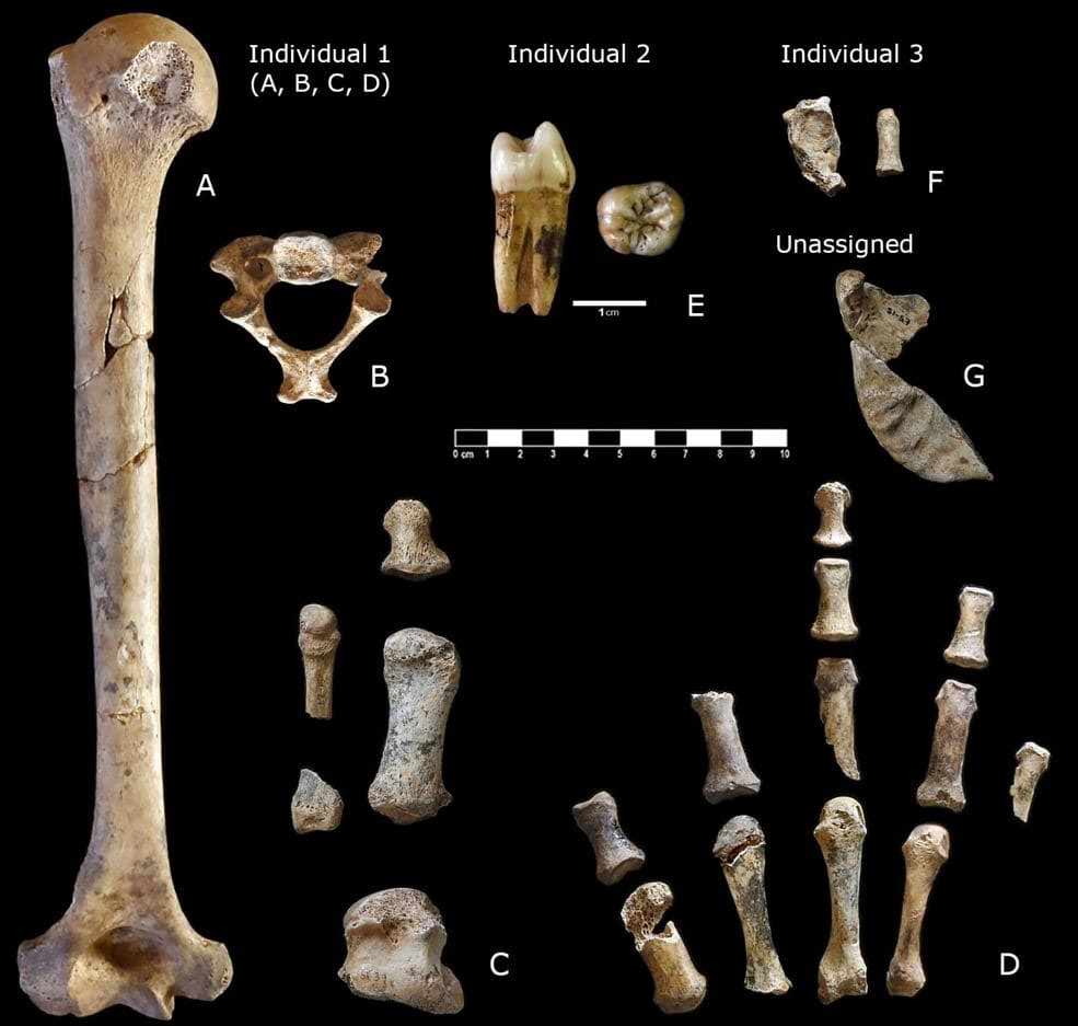 Neanderthal fossils from Simanya