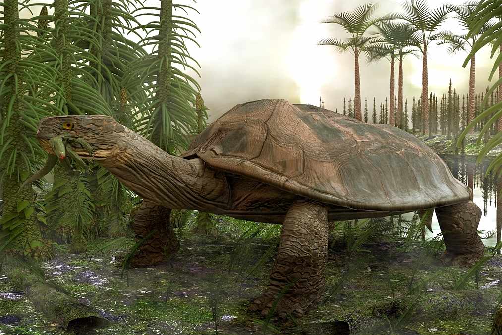 Mass extinction: the turtles survived