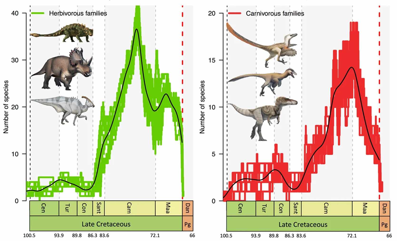 Mass extinction: decline in dinosaur diversity