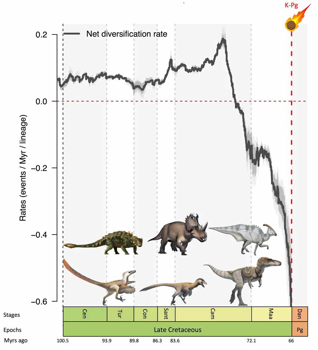 Decrease in Dinosaur Species Diversity