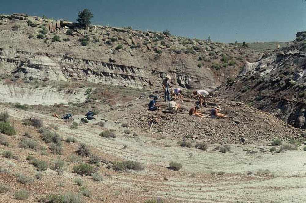 Judith River Formation