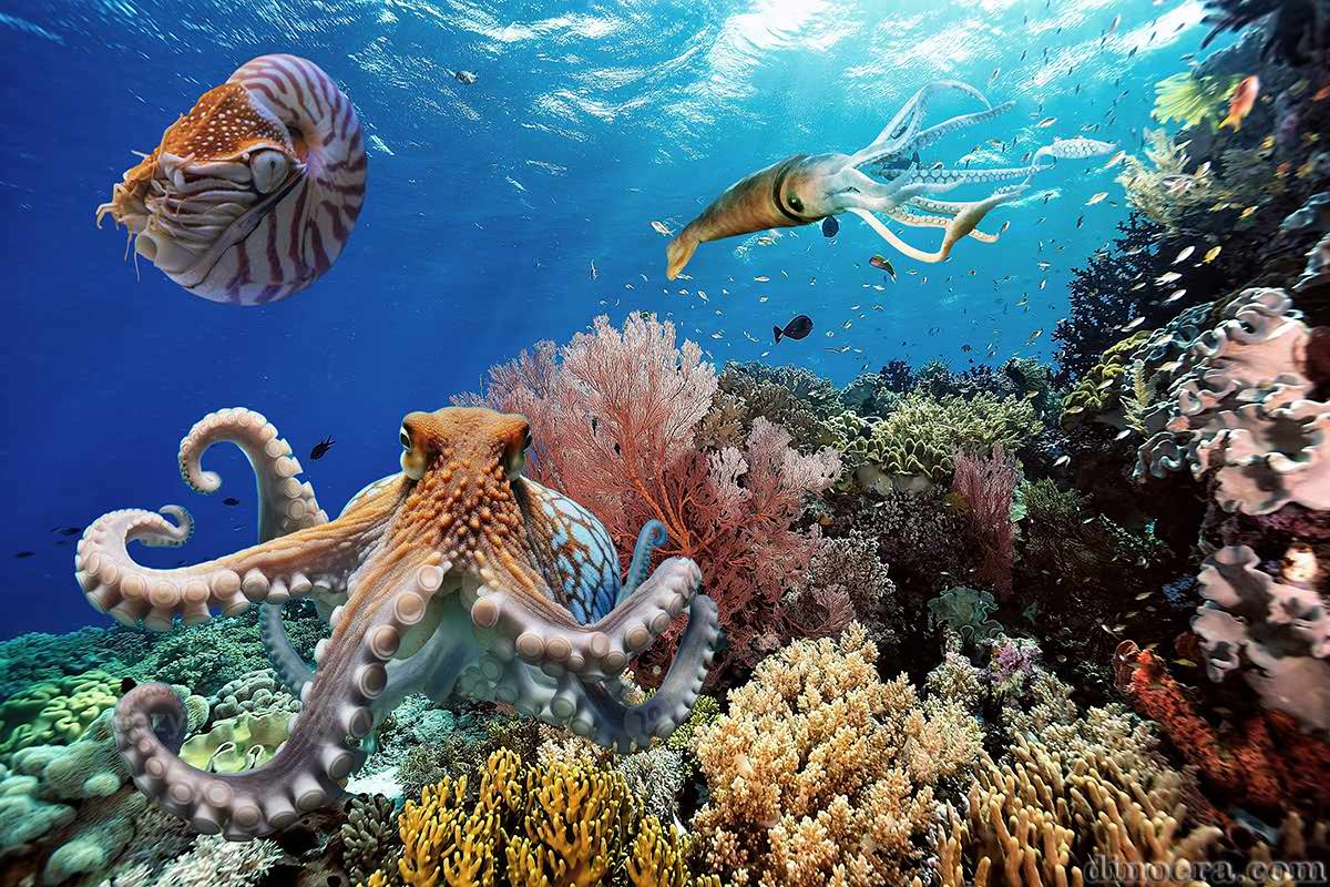 Mass extinctiion: many cephalopods survived