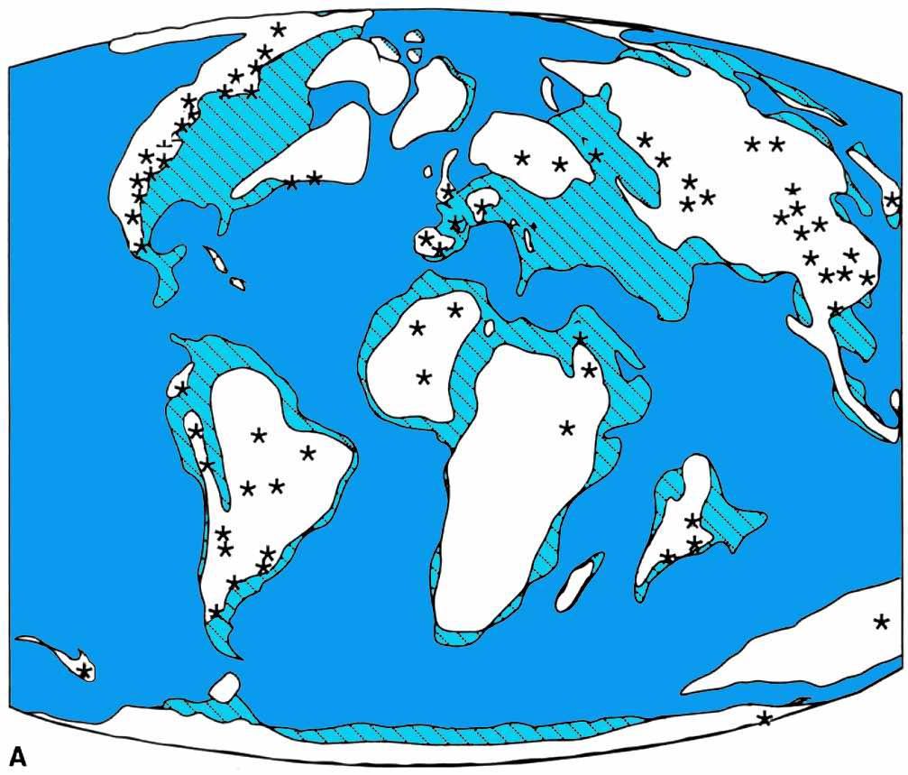 There are still finds of non-avian dinosaurs in the Late Cretaceous