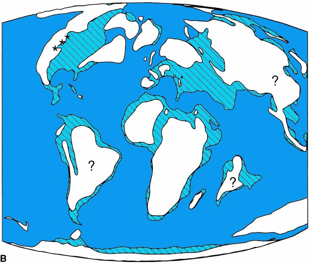 Very few non-avian dinosaurs have been found at the K/T boundary