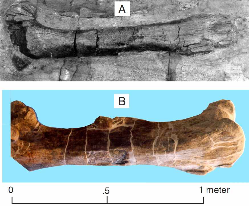 Mass extinction: Paleogene dinosaurs