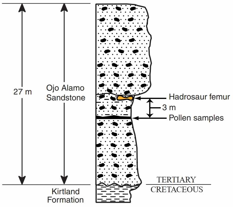 Ojo Alamo Sandstone