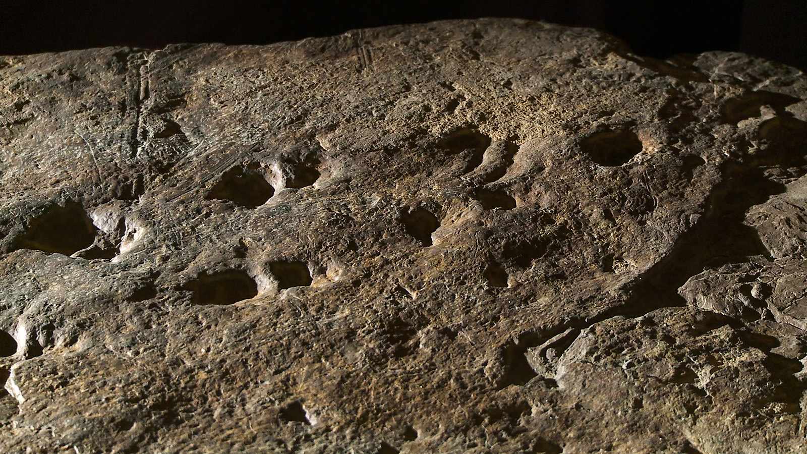 Devonian tetrapod trackways from the Genoa River