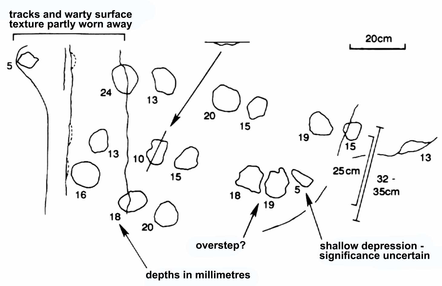 Devonian tetrapod trackways in Tarbat