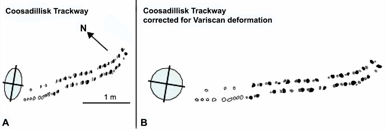 Coosadillisk trackway