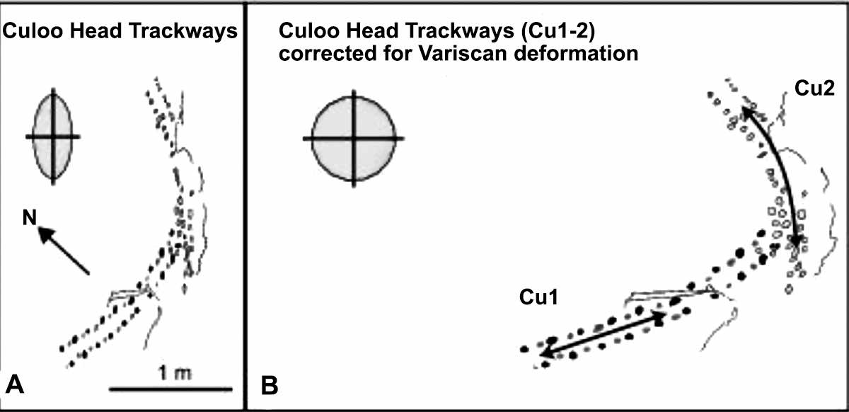 Culoo Head trackway