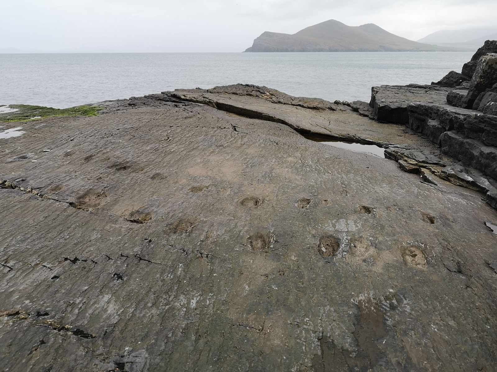 Valentia Island, Track Do1