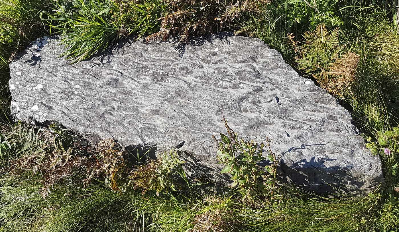 Devonian tetrapod trackways: sandstone with ripple marks