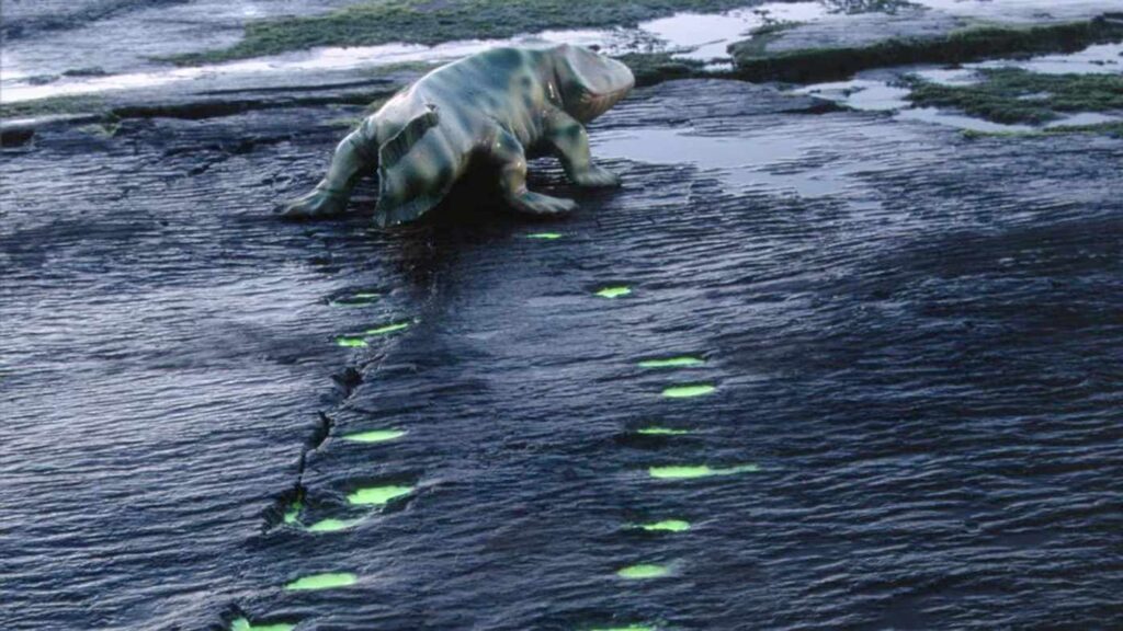 Devonian tetrapod trackways: Valentia Island 