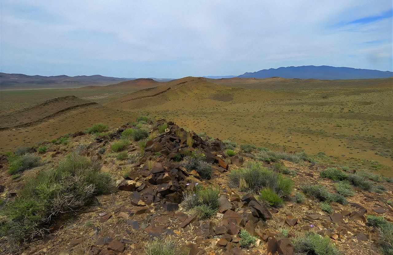 Cambrian reef, Nevada