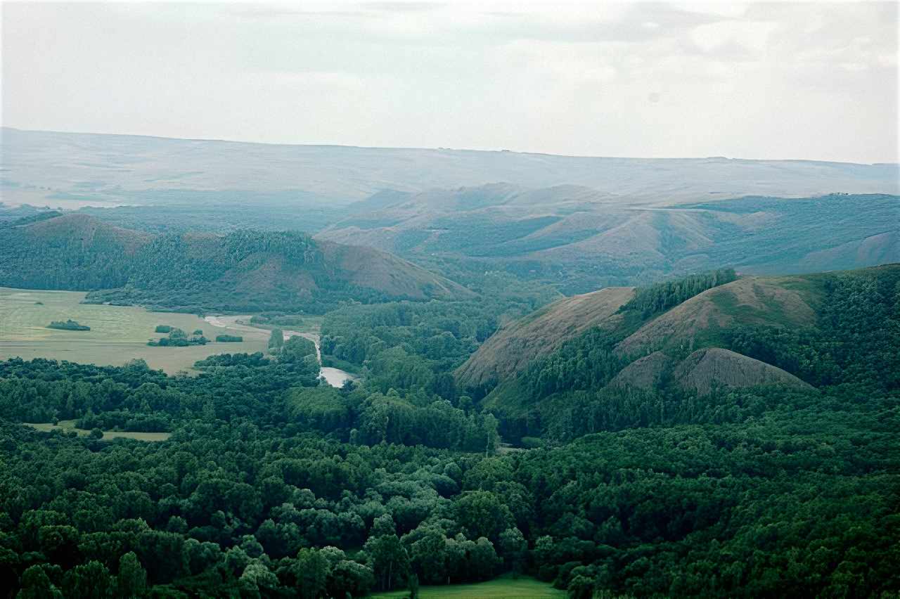 Middle Cambrian fossil reefs