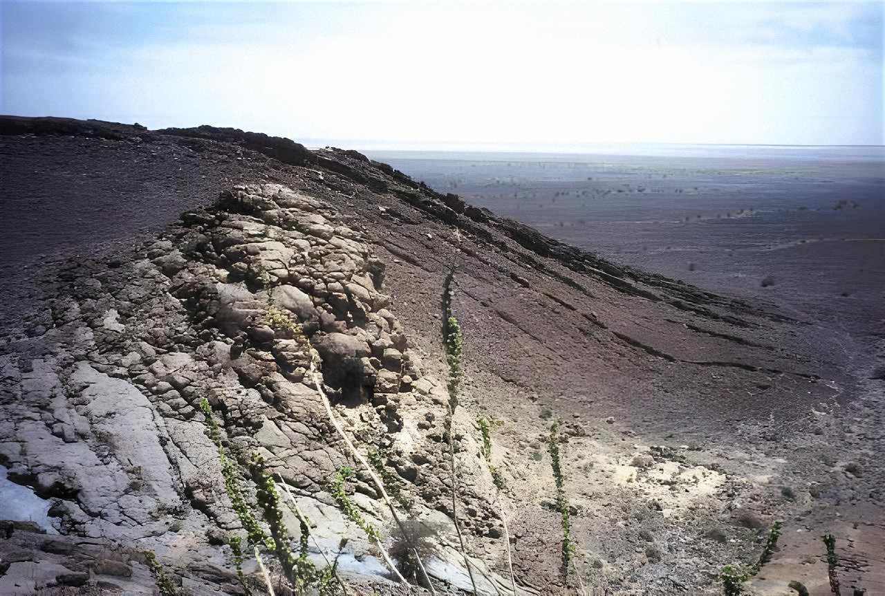 Fossil reef mound