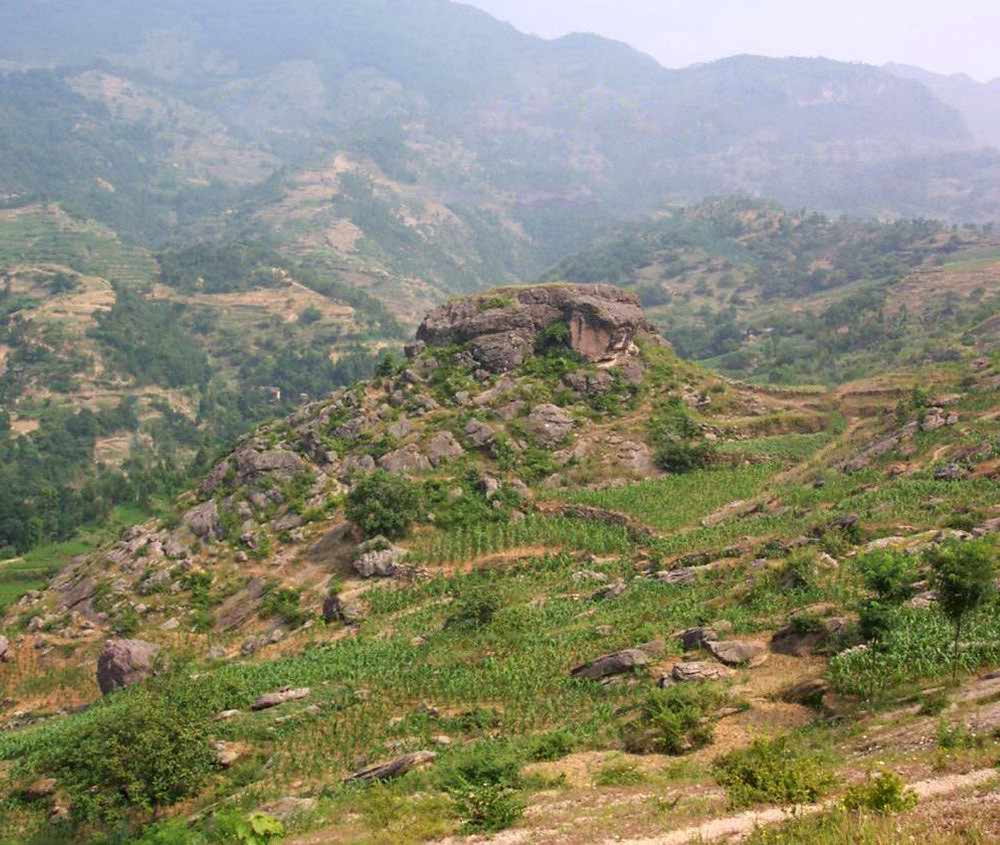 Early Silurian reefs, China