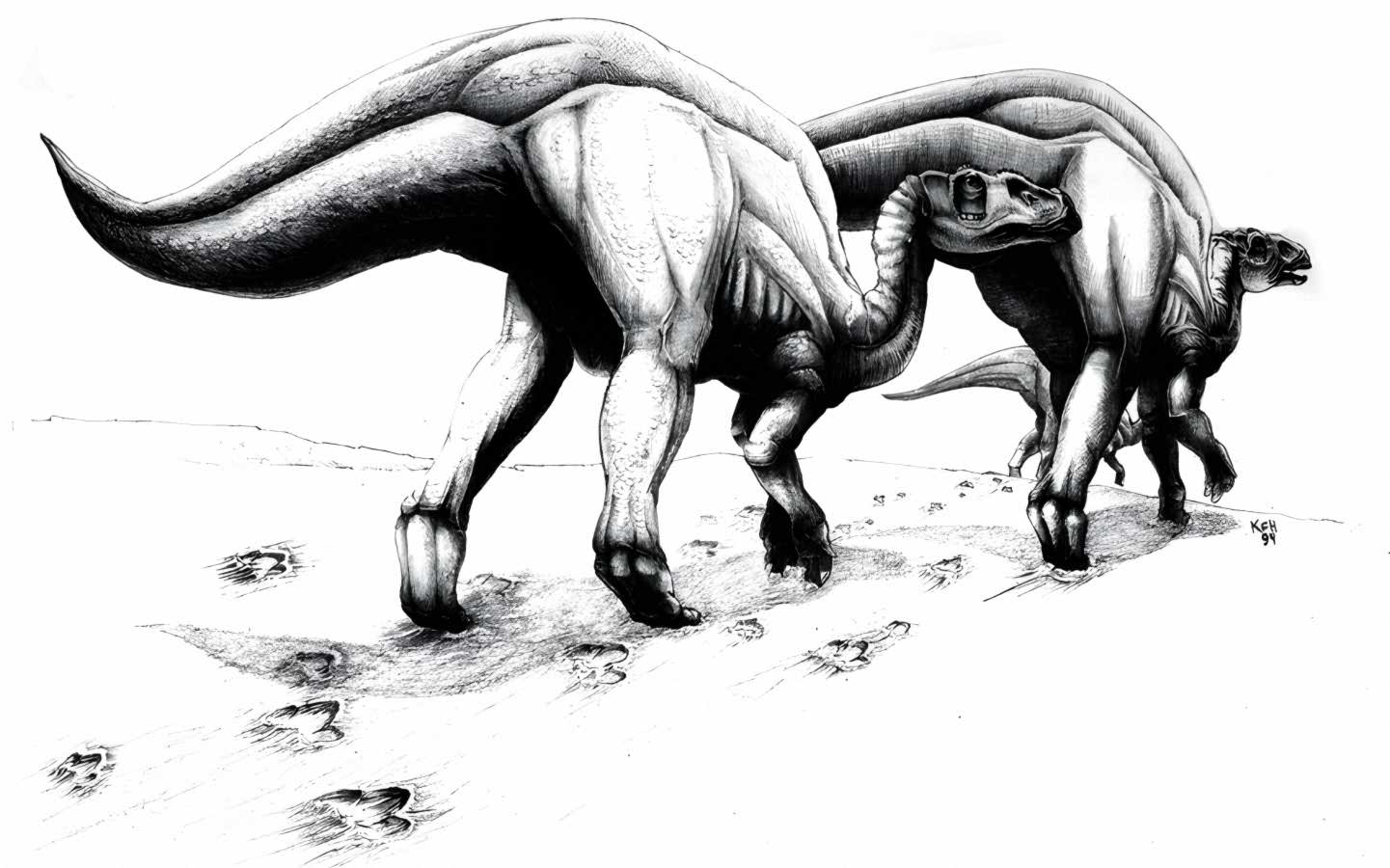 Caririchnium trackmakers