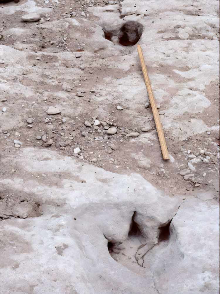 Running dinosaur tracks