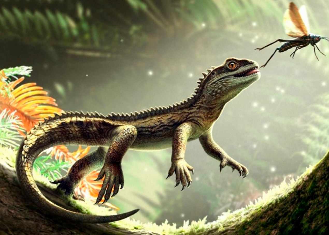 Agriodontosaurus Oldest Lepidosaur Agriodontosaurus Oldest Lepidosaur