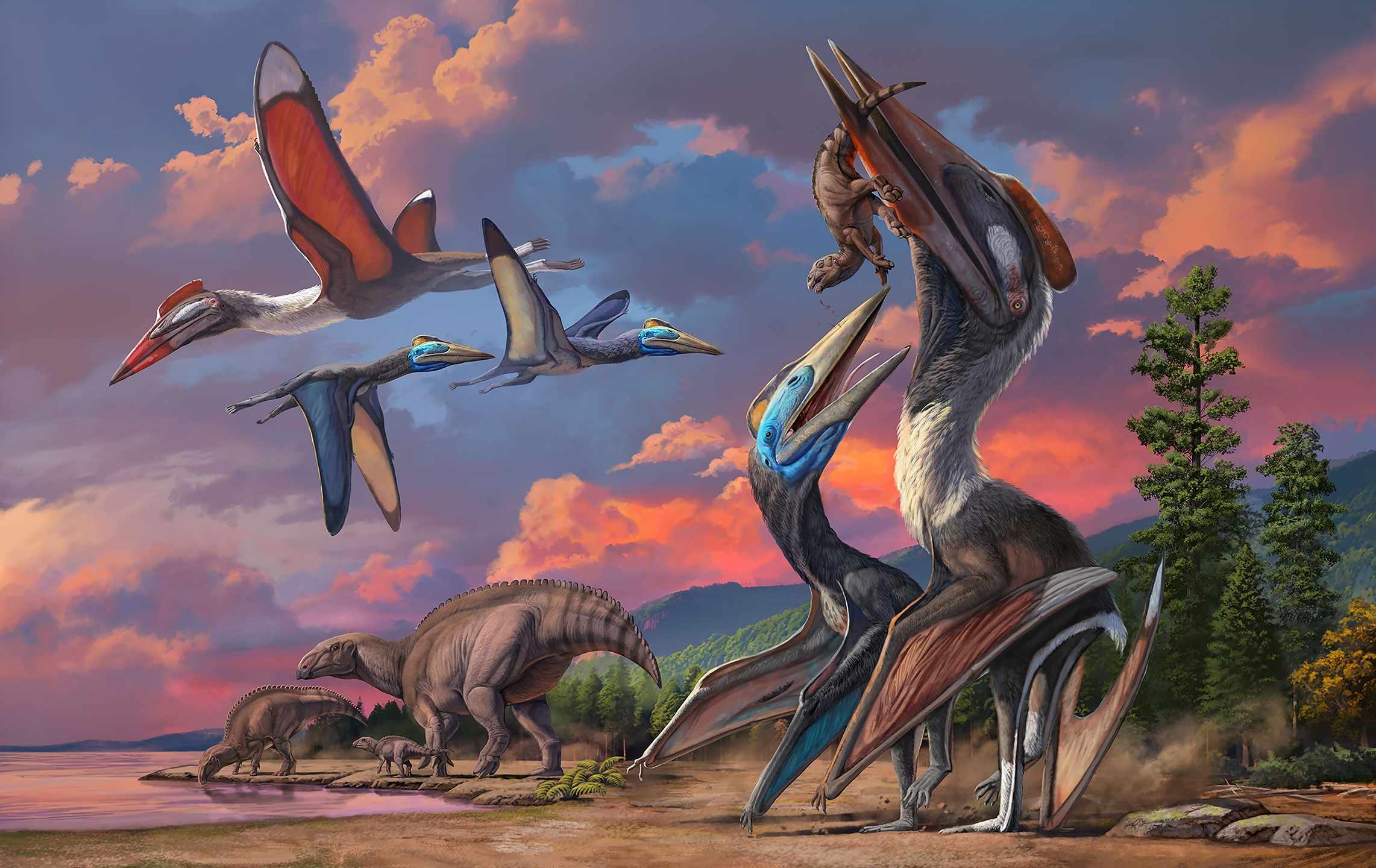 Bayanshiree azhdarchid pterosaurs