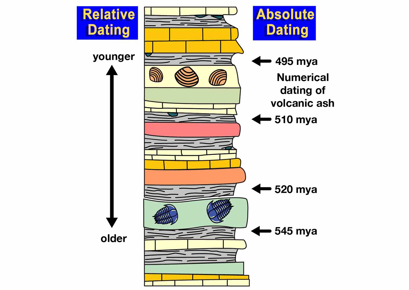 Geologic time scale: Relative and Absolute Dating