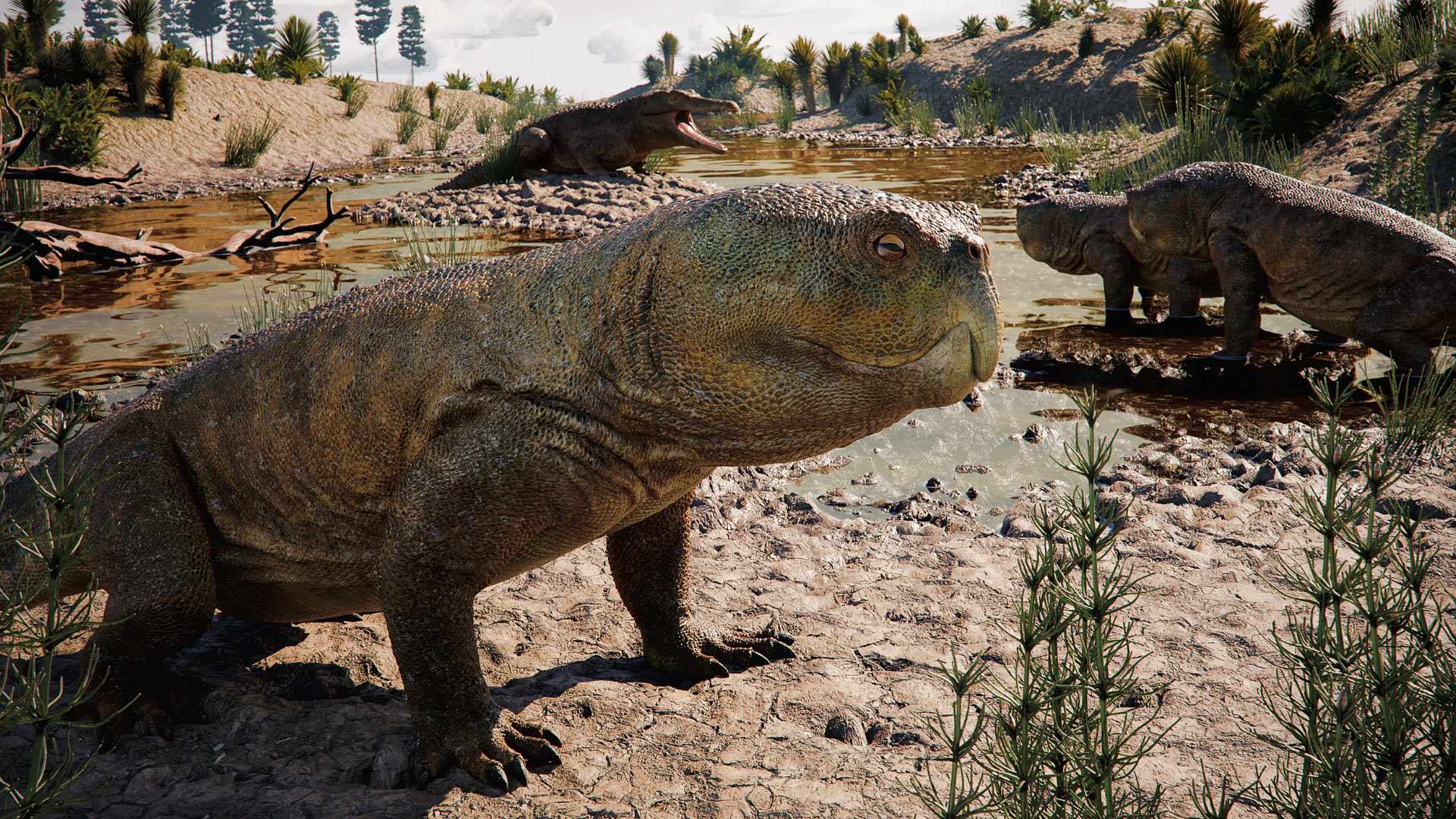Isodapedon varzealis